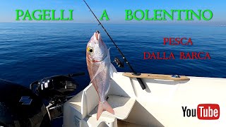 Canna  Pesca a BOLENTINO ai PAGELLI Fragolini dalla barca vicino Roma [upl. by Valentijn]