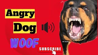 The Secret Behindan Angry Rottweilers Growling [upl. by Gnay]