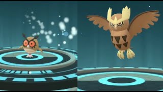 Hoothoot evolution into Noctowl in Pokemon GO  Trainer Ari [upl. by Aicelav]