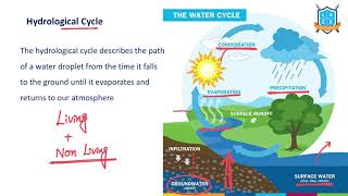 What is Hydrological Cycle   Hydrological Cycle అంటే ఏమిటి  La Excellence [upl. by Anura]