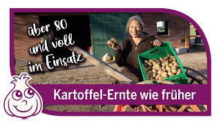 Kartoffeln ernten wie früher [upl. by Lesna]