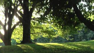 Ein Spaziergang durch den Stadtgarten von Würselen [upl. by Analiese]