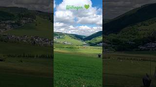 Talblick am Ettelsberg • Skigebiet Willingen Upland in Sauerland • Panorama kurzgezeigt Mai2024 [upl. by Ylrebmi266]