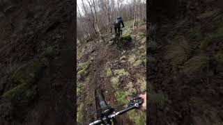 Chasing Matt down a fun MTB trail at Comrie Croft mtb downhill dh cycling bike pov shorts [upl. by Aninaj]