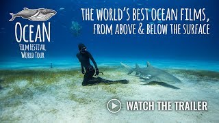 Ocean Film Festival  2018 UK and Ireland Trailer [upl. by Sands971]