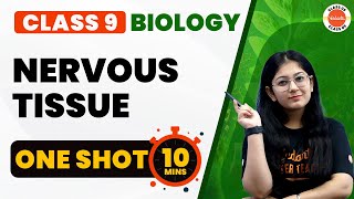 Nervous Tissue One Shot  Tissues Class 9 NCERT Class 9 Science Full Chapter 6 ExplanationCbse2024 [upl. by Ddahc324]