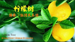 返场节目2：柠檬树  泓河民乐团 Encore 2  Lemon Tree [upl. by Sessylu]