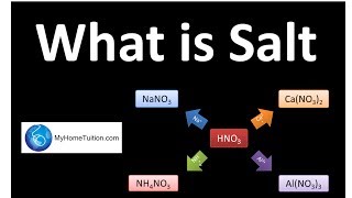 Salt  Introduction  Acid Base and Salt [upl. by Nnaegroeg380]