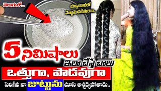 5 నిమిషాలు ఇలా చేస్తే చాలు మీ జుట్టు వద్దన్నా ఎంత ఒత్తుగా పొడవుగా పెరుగుతుంది  hair growth tips [upl. by Ahseital]