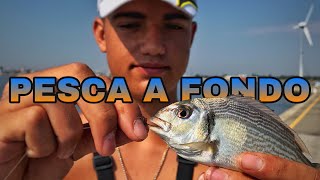 ORATE DAL MOLO  Pesca a FONDO 🥶 [upl. by Blinny]