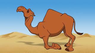 Camel Walk Animation [upl. by Damal]