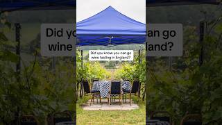 Wine tasting in England details in description england englishwine sussex hampshire ukfood [upl. by Aevin671]