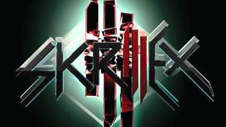 Born This Way Skrillex remix [upl. by Glass137]