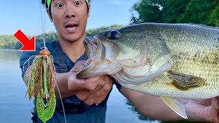 MAGIC LURE CATCHES BIG BASS Summer Jon Boat Fishing [upl. by Revart]