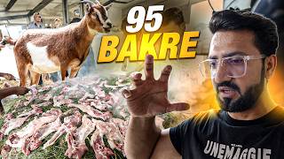 Arab Village Food Making of 95 Goats  Old Arab Village Style Cooking  Abdul Malik Fareed [upl. by Retlaw]