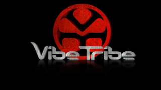 Vibe Tribe  Destination Unknown [upl. by Damian]