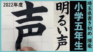 埼玉県書き初め課題書いてみました！小学5年生編【書き初め】【埼玉県】【小5】 [upl. by Itch583]