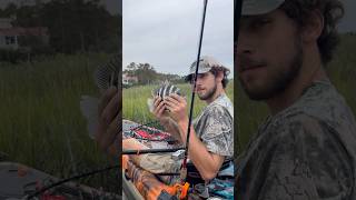 Sheepshead kayak fishing in Pawleys Island SC 🎣🐟 [upl. by Anyalram]