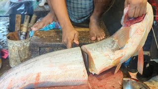 Amazing Giant Wallago Attu Catfish Cutting Skills In Bangladesh Fish Market [upl. by Redna]