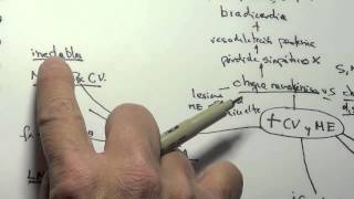 🤯5 LA COLUMNA VERTEBRAL  Anatomia FÁCIL ✅ Partes y Funciones [upl. by Clarke]