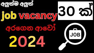 job vacancies 30  job vacancy  ‍රැකියා අබෑර්තු 30 ක් [upl. by Phillida]