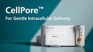 CellPore™ For Gentle Intracellular Delivery [upl. by Quent]