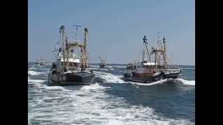 Brixham Trawler Race 2014  the finish [upl. by Apthorp]