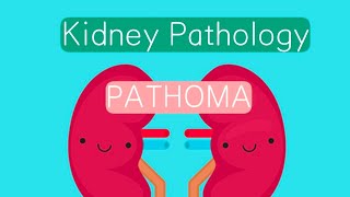 Kidney Pathology PATHOMA 5  UTI  Nephrolithiasis [upl. by Navannod]