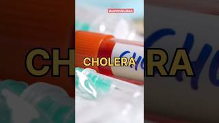 Cholera Prevention Tips for Health  Cholera disease rehydration ors health mbbs medical [upl. by Foy]