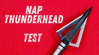 NAP THUNDERHEAD 125 gr Broadhead Test [upl. by Grizelda]