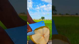 super big satisfying coconut slicing sound ASMR [upl. by Jackson926]