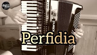 Accordion Perfidia [upl. by Aihsele]