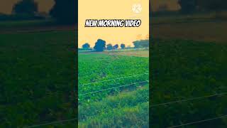 New morning video tamil rap song tamilsong youtubeshorts vlog villagelife villagevideo [upl. by Doro]