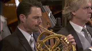 Brahms Klavierkonzert Nr 2 1 Satz  3 Horn Solo Thomas JĂśbstl [upl. by Naujled]