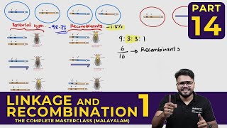 Mastering LINKAGE AND RECOMBINATIONPART 01  Principles of Inheritance and Variations  CLASS 14 [upl. by Eimarej384]