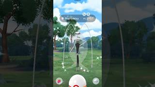 Consigo a PHEROMOSA shiny ⭐️ pokemongo escarlatapurpura shinypokemon pokemonscarletandviolet [upl. by Llecrup]