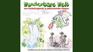 Wunderbare Welt SternenRap Lied [upl. by Ymarej]