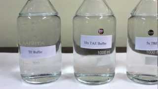 Preparation of Buffer stocks TBE TE and TAE  Amrita University [upl. by Akirdnas]