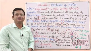 Diuretic Part 07 Loop Diuretic Mechanism of Action  High Ceiling Diuretics  Diuretic Drugs [upl. by Siednarb]