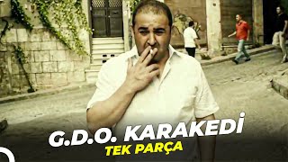 GDO Karakedi  Şafak Sezer Eski Türk Filmi Full İzle [upl. by Cathe]