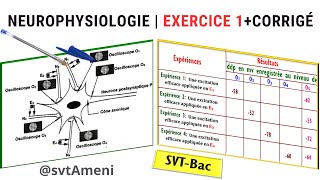 SVTBac Neurophysiologie Exercice 1  Corrigé [upl. by Kasey]