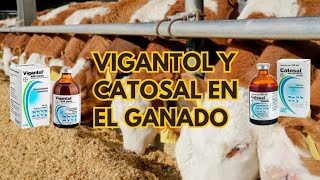 Vitaminas para mejorar la producción en el ganado 🐂🐑🌱🤠 [upl. by Esinaj]