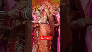 jaimala songshortvideo music ytshorts shortsfeed shortsvideo song youtubeshorts [upl. by Atibat]