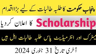 How to apply for Punjab peef scholarship  new scholarships in Pakistan 2023  Peef [upl. by Hilbert]