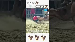 Jagga🦅 vs Chitti🦅 [upl. by Teague817]