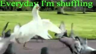 Everyday Im Shuffling  Goose 1 hour [upl. by Machute]