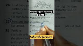 Morphology of flowering plants NEET mcq question❓ practice neet aiims biology motivation [upl. by Lona]