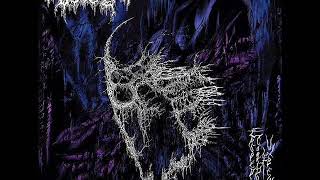 Spectral Voice  Eroded Corridors of Unbeing Full album  Official [upl. by Dlopoel407]