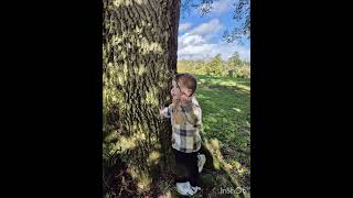 Barnaby Bear amp Bowie at Pinetum gardens [upl. by Teerprug370]