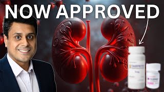 NEW TREATMENT for KIDNEY DISEASE  Hope for IgA Nephropathy nowapproved [upl. by Latterll]